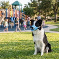 Gentle Duck Bill Silicone Dog Muzzle – Anti-Biting & Barking